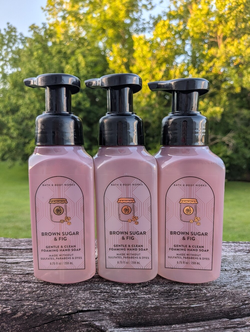Brown Sugar & Fig Foaming Hand Soap Bath & Body Works Set of 3